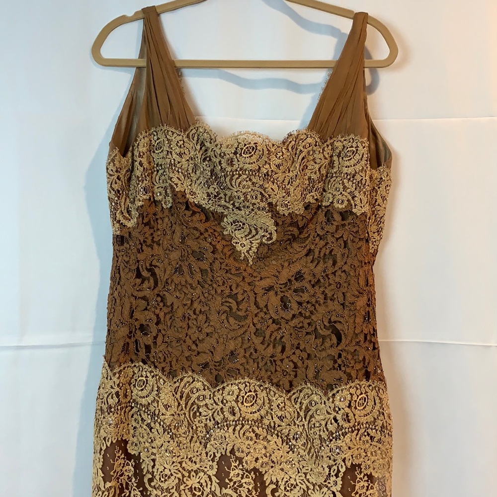 Carmen Marc Valvo browns and gold gown.